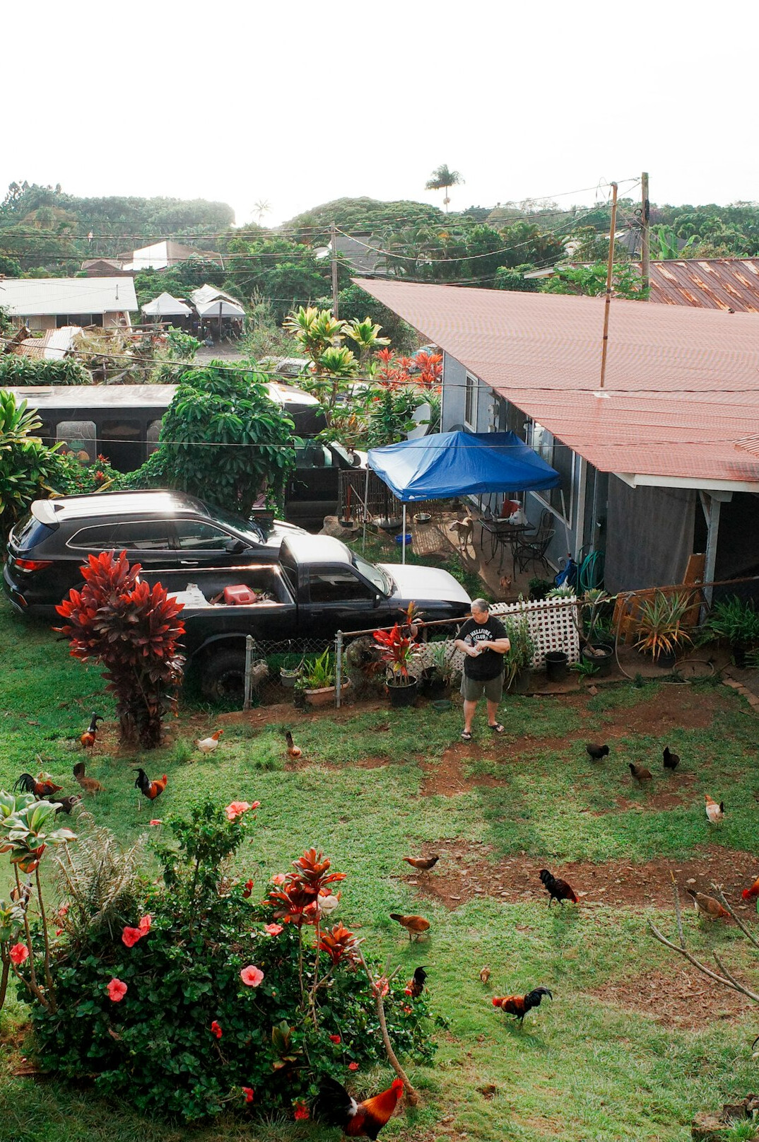 sustainable living scene